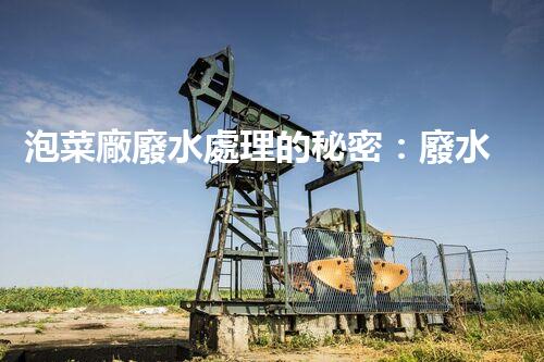 泡菜廠廢水處理的秘密：廢水變寶藏？